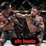 UFC heute: Live-Stream, Sendezeiten und alle Kämpfe im großen Guide